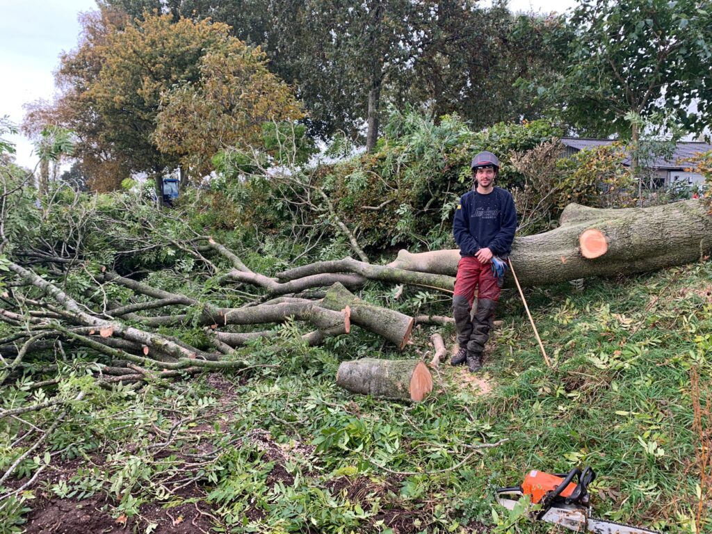 Boom kappen Overijssel