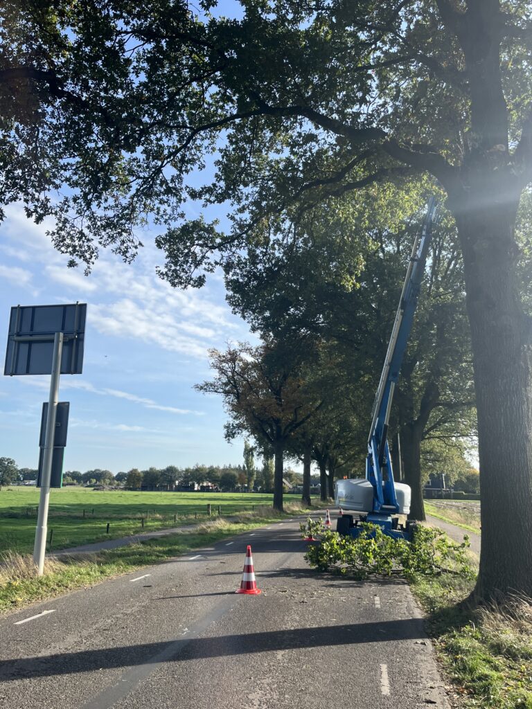 bomen snoeien hoogwerker 2