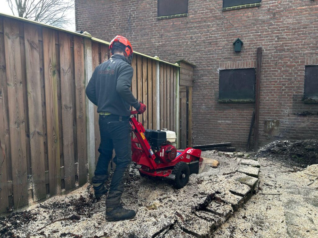 Op locatie een boomstronk frezen met minimale schade aan de omgeving.